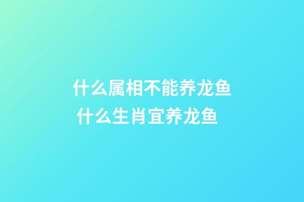 什么属相不能养龙鱼 什么生肖宜养龙鱼